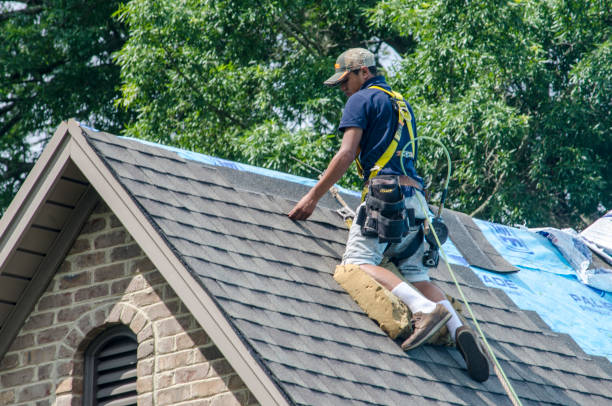 Best Roof Leak Repair  in South Browning, MT